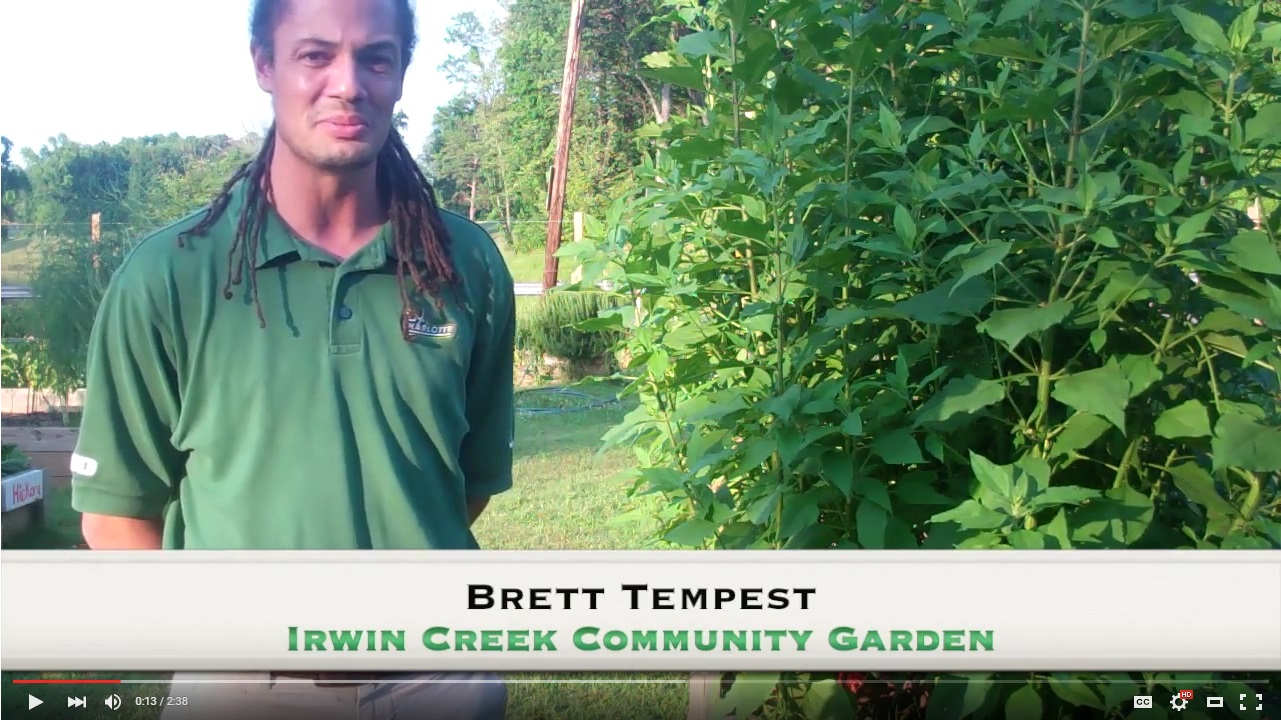 Talk about Irwin Creek Community Garden