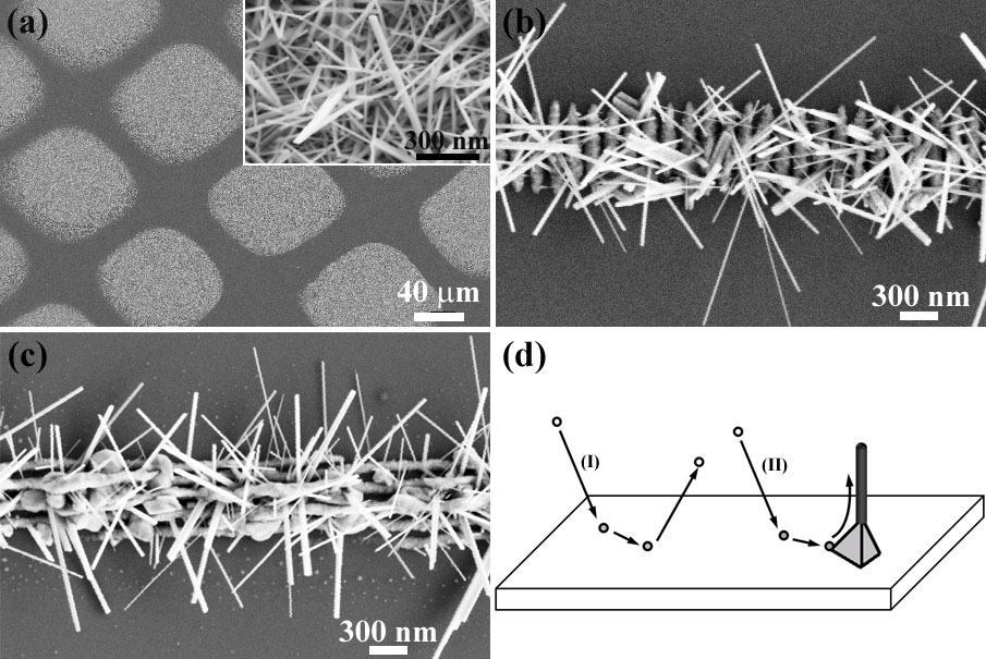 Patterned growth of 1D TMOs