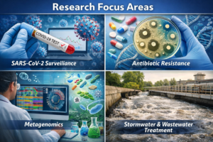 Research areas