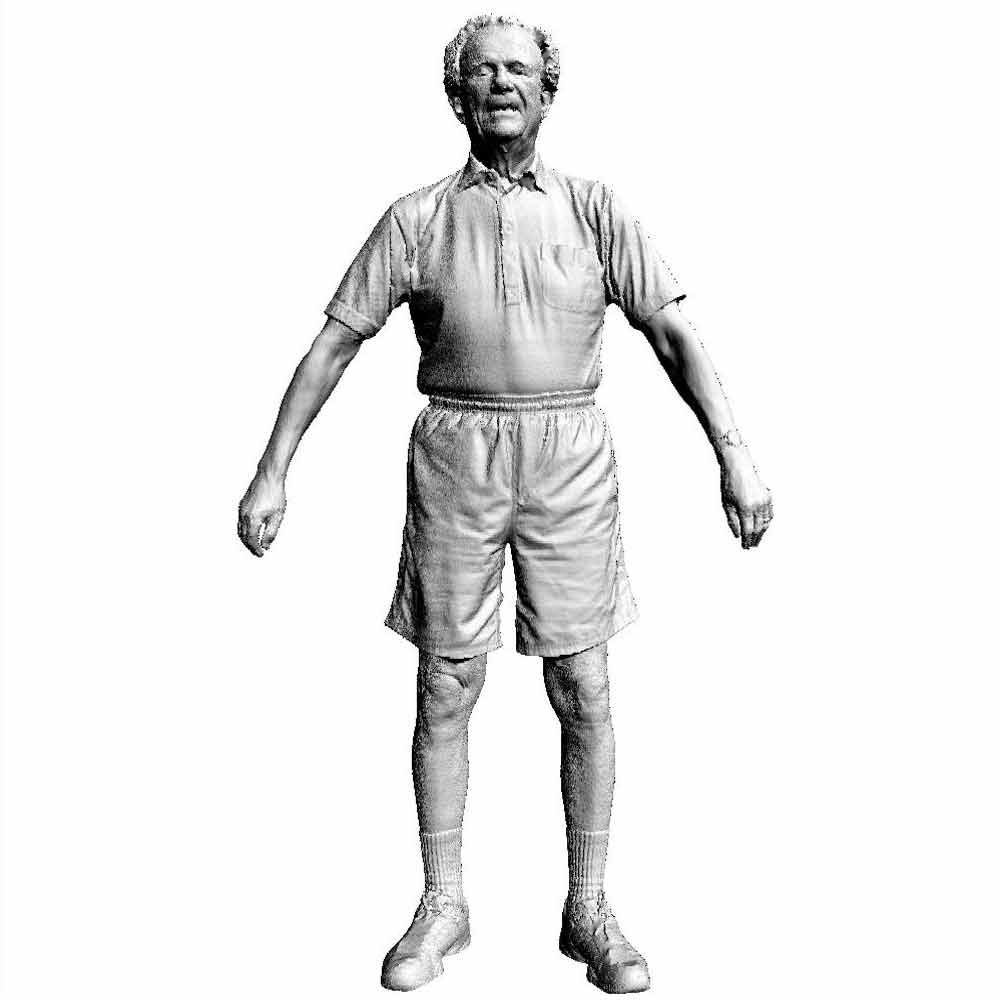 Three-dimensional Whole Body Scanner