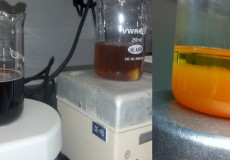 Leachate treatment with the Fenton’s Process