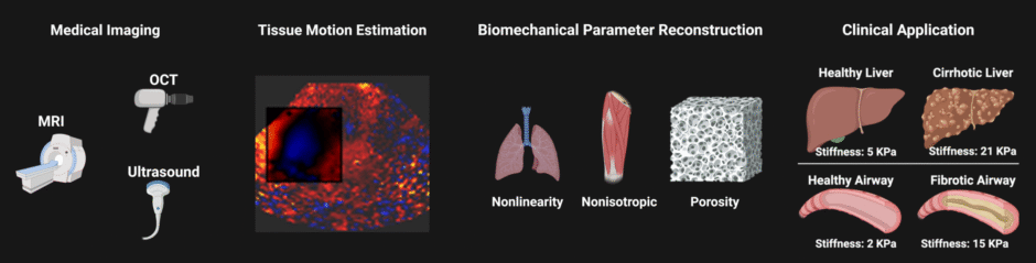 Biomechanical Imaging and Computation Lab